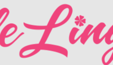 Belle Lingerie Save up to 60% in the Big Summer Sale